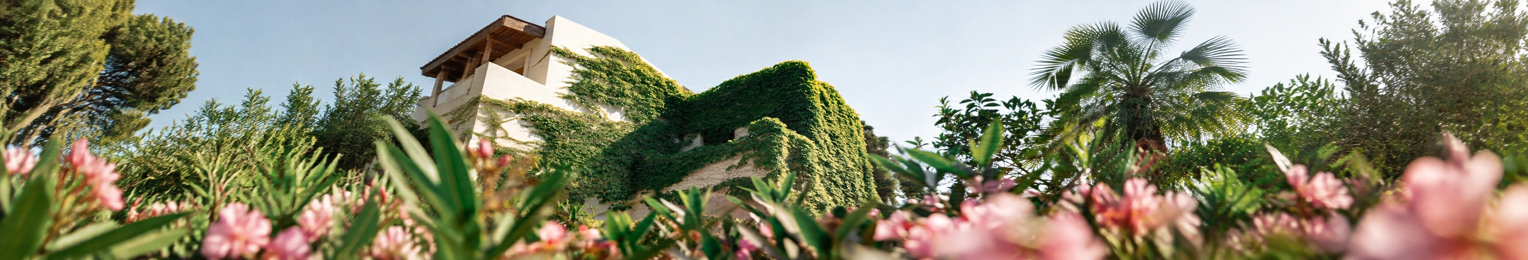 A vine-covered Pine Bay resort building framed by palms and pink flowers