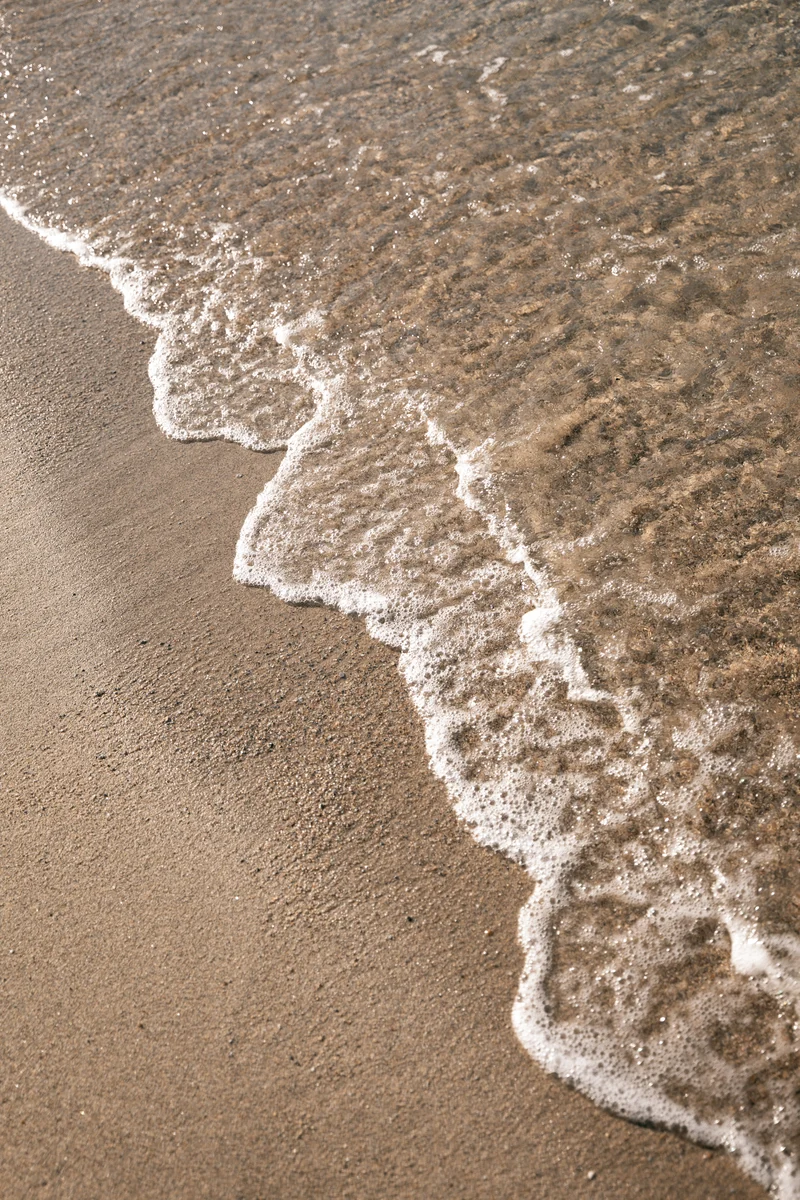 A fine line of foam washing across sunlit sand