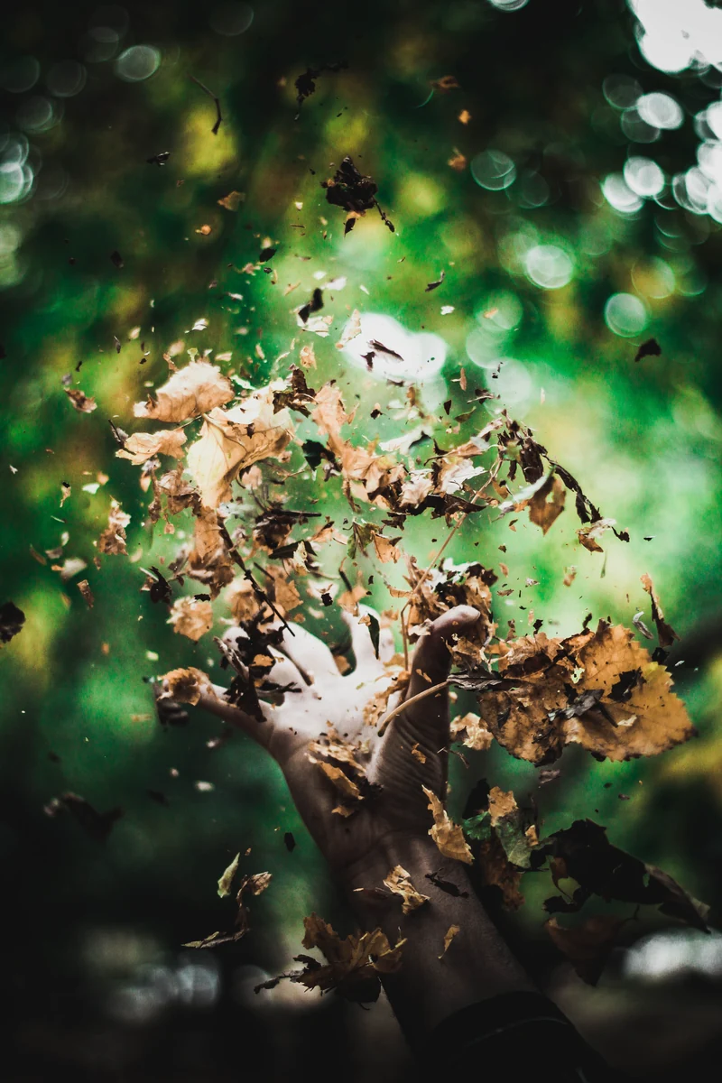 A hand tossing dry leaves against a green woodland background